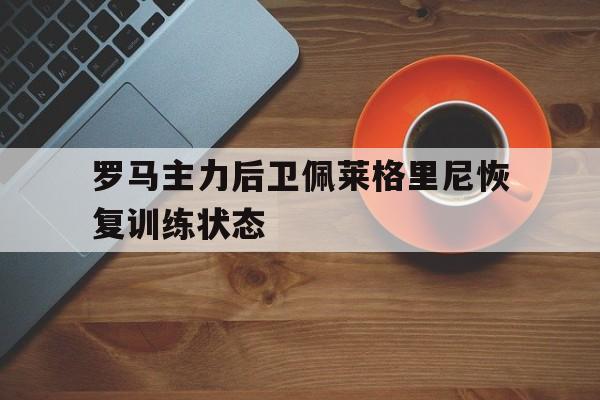 罗马主力后卫佩莱格里尼恢复训练状态